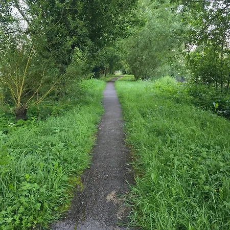 Le De Dan Lejlighed *